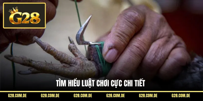 Tìm hiểu luật chơi cực chi tiết